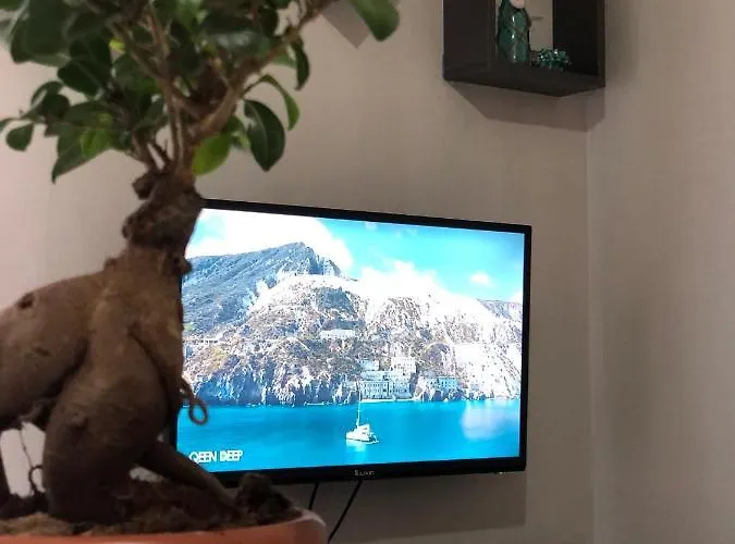 The Nook Apartament Wlora